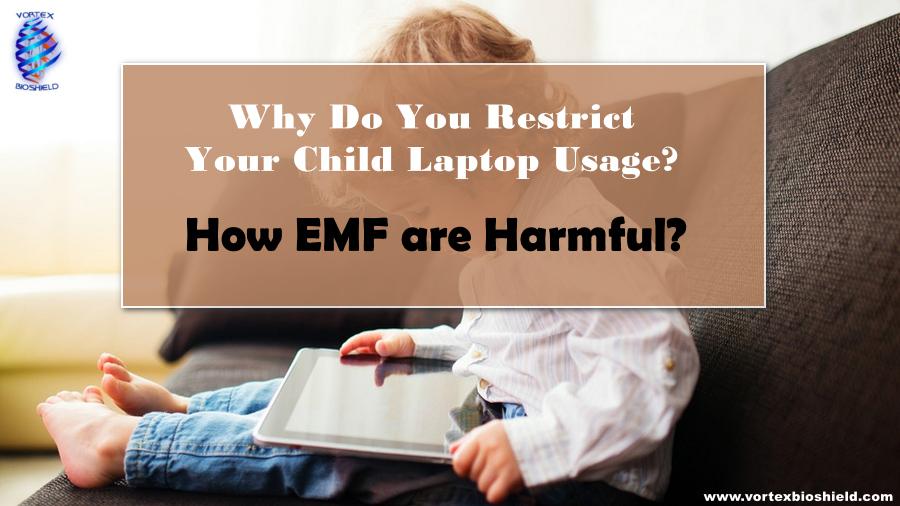 WHY DO YOU RESTRICT YOUR CHILD LAPTOP USAGE?
